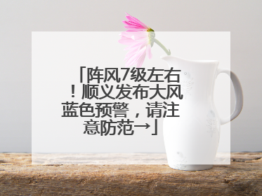 阵风7级左右！顺义发布大风蓝色预警，请注意防范→