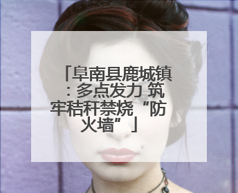 阜南县鹿城镇：多点发力 筑牢秸秆禁烧“防火墙”