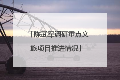 陈武军调研重点文旅项目推进情况