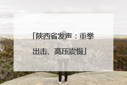 陕西省发声：重拳出击、高压震慑