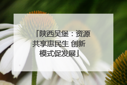 陕西吴堡：资源共享惠民生 创新模式促发展