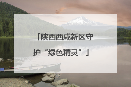 陕西西咸新区守护“绿色精灵”