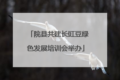 院县共建长豇豆绿色发展培训会举办