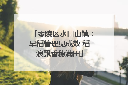 零陵区水口山镇：早稻管理见成效 稻浪飘香穗满田