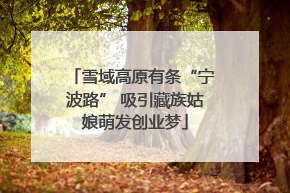 雪域高原有条“宁波路” 吸引藏族姑娘萌发创业梦