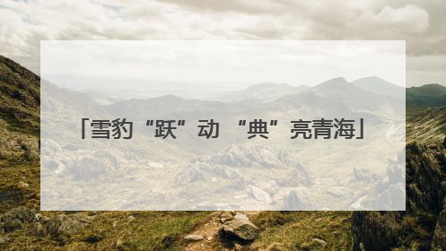 雪豹“跃”动 “典”亮青海