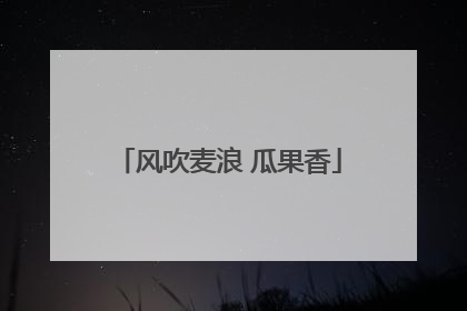 风吹麦浪 瓜果香