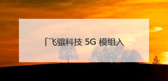飞骧科技 5G 模组入驻三星 / 荣耀高端机型，实现白牌到高端跨越