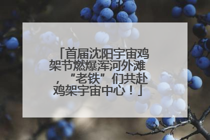 首届沈阳宇宙鸡架节燃爆浑河外滩，“老铁”们共赴鸡架宇宙中心！