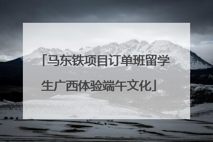 马东铁项目订单班留学生广西体验端午文化