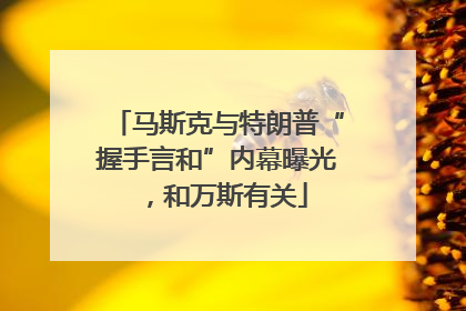 马斯克与特朗普“握手言和”内幕曝光，和万斯有关