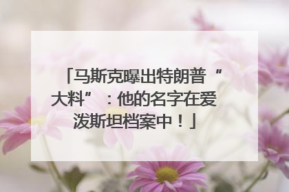 马斯克曝出特朗普“大料”：他的名字在爱泼斯坦档案中！