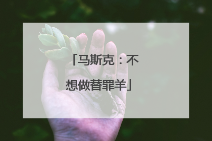 马斯克：不想做替罪羊