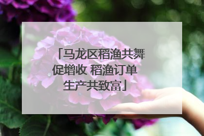 马龙区稻渔共舞促增收 稻渔订单生产共致富