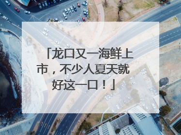 龙口又一海鲜上市，不少人夏天就好这一口！