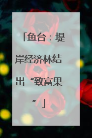 鱼台：堤岸经济林结出“致富果”