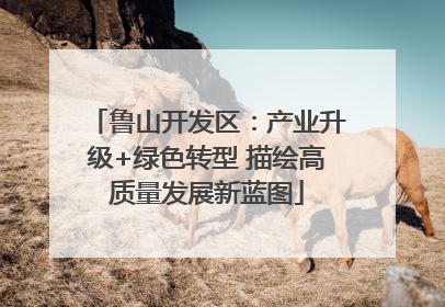 鲁山开发区：产业升级+绿色转型 描绘高质量发展新蓝图