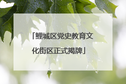 鲤城区党史教育文化街区正式揭牌