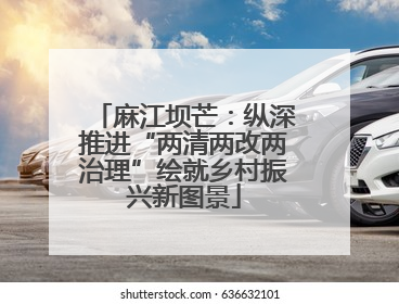 麻江坝芒：纵深推进“两清两改两治理”绘就乡村振兴新图景