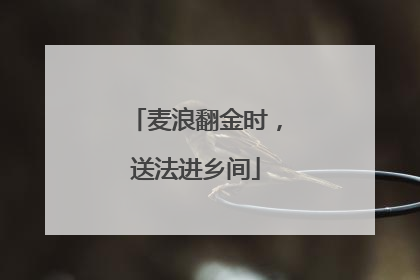 麦浪翻金时，送法进乡间