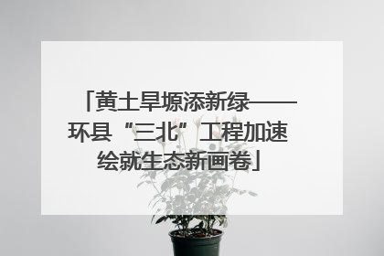 黄土旱塬添新绿——环县“三北”工程加速绘就生态新画卷