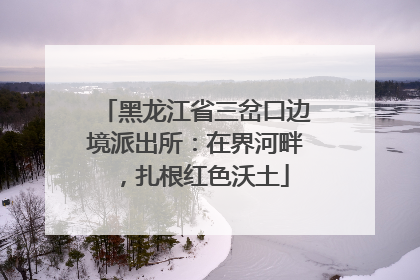 黑龙江省三岔口边境派出所：在界河畔，扎根红色沃土