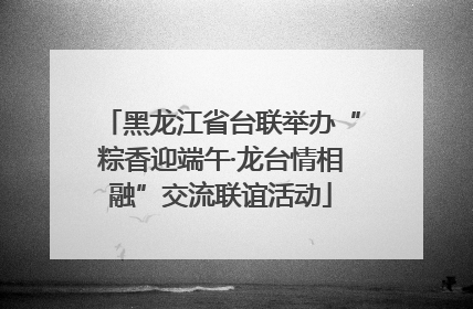 黑龙江省台联举办“粽香迎端午·龙台情相融”交流联谊活动
