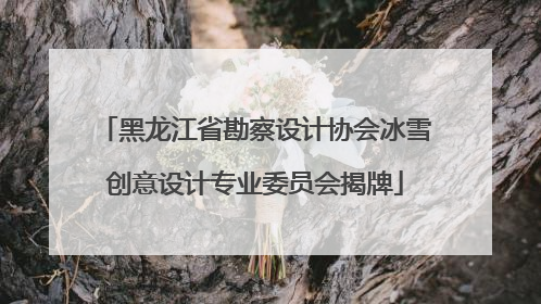 黑龙江省勘察设计协会冰雪创意设计专业委员会揭牌