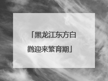 黑龙江东方白鹳迎来繁育期