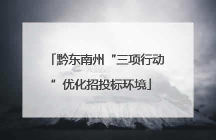 黔东南州“三项行动”优化招投标环境