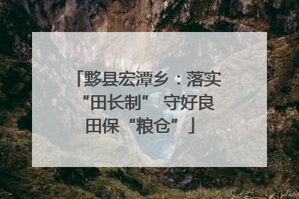 黟县宏潭乡：落实“田长制” 守好良田保“粮仓”