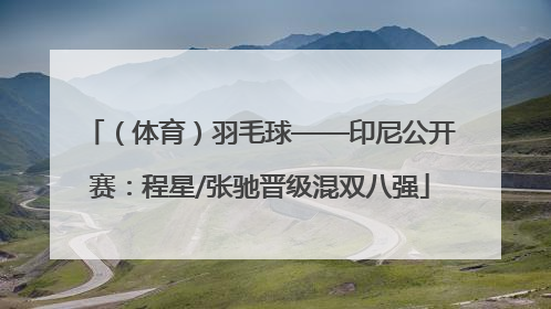 （体育）羽毛球——印尼公开赛：程星/张驰晋级混双八强