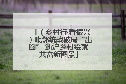 （乡村行·看振兴）毗邻统战破局“出圈” 浙沪乡村绘就共富新图景