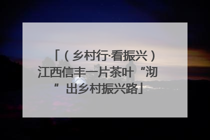 （乡村行·看振兴）江西信丰一片茶叶“沏”出乡村振兴路