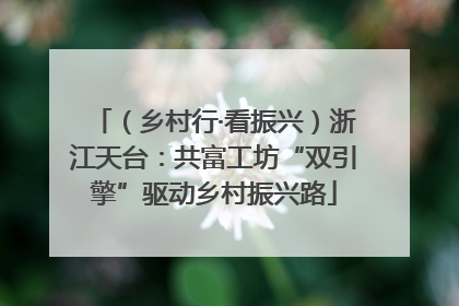 （乡村行·看振兴）浙江天台：共富工坊“双引擎”驱动乡村振兴路