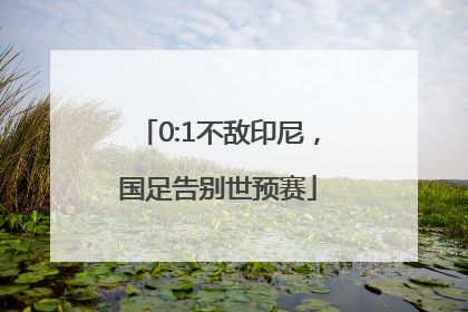 0:1不敌印尼，国足告别世预赛