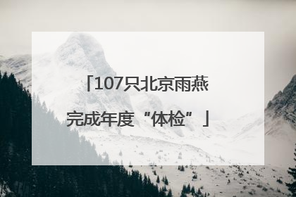 107只北京雨燕完成年度“体检”