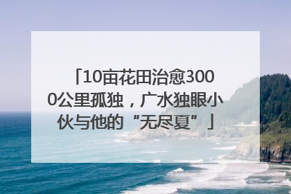 10亩花田治愈3000公里孤独，广水独眼小伙与他的“无尽夏”