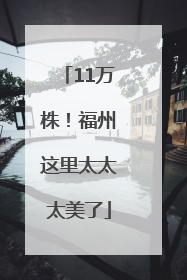 11万株！福州这里太太太美了