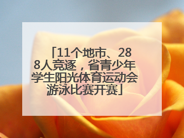 11个地市、288人竞逐，省青少年学生阳光体育运动会游泳比赛开赛