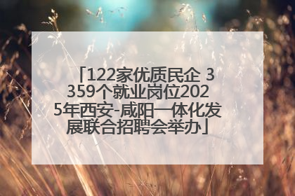 122家优质民企 3359个就业岗位2025年西安-咸阳一体化发展联合招聘会举办
