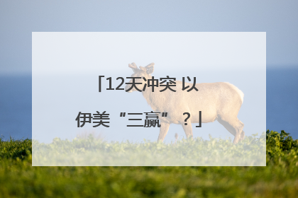 12天冲突 以伊美“三赢”？