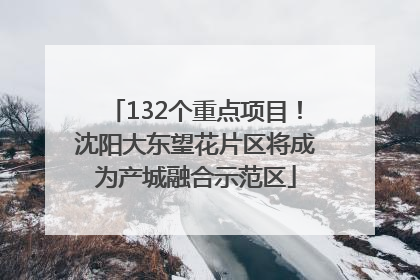 132个重点项目！沈阳大东望花片区将成为产城融合示范区
