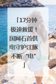 17分钟极速救援！国网石首供电守护江豚不断“电”