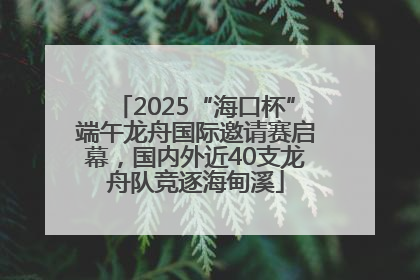 2025“海口杯”端午龙舟国际邀请赛启幕，国内外近40支龙舟队竞逐海甸溪