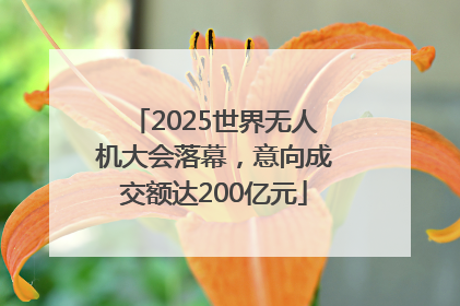 2025世界无人机大会落幕，意向成交额达200亿元