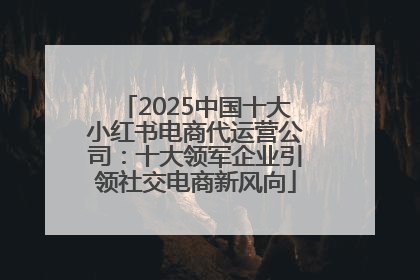 2025中国十大小红书电商代运营公司：十大领军企业引领社交电商新风向