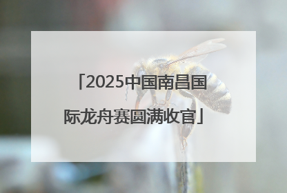 2025中国南昌国际龙舟赛圆满收官