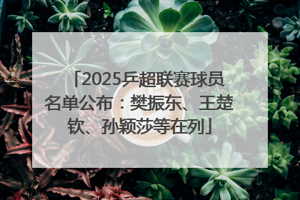 2025乒超联赛球员名单公布：樊振东、王楚钦、孙颖莎等在列
