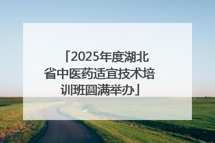 2025年度湖北省中医药适宜技术培训班圆满举办